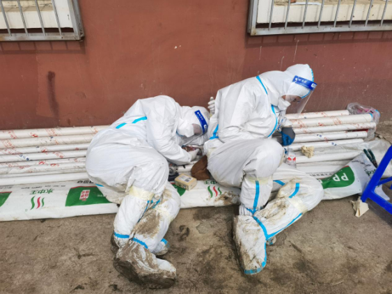 K8·凯发(中国)天生赢家·一触即发