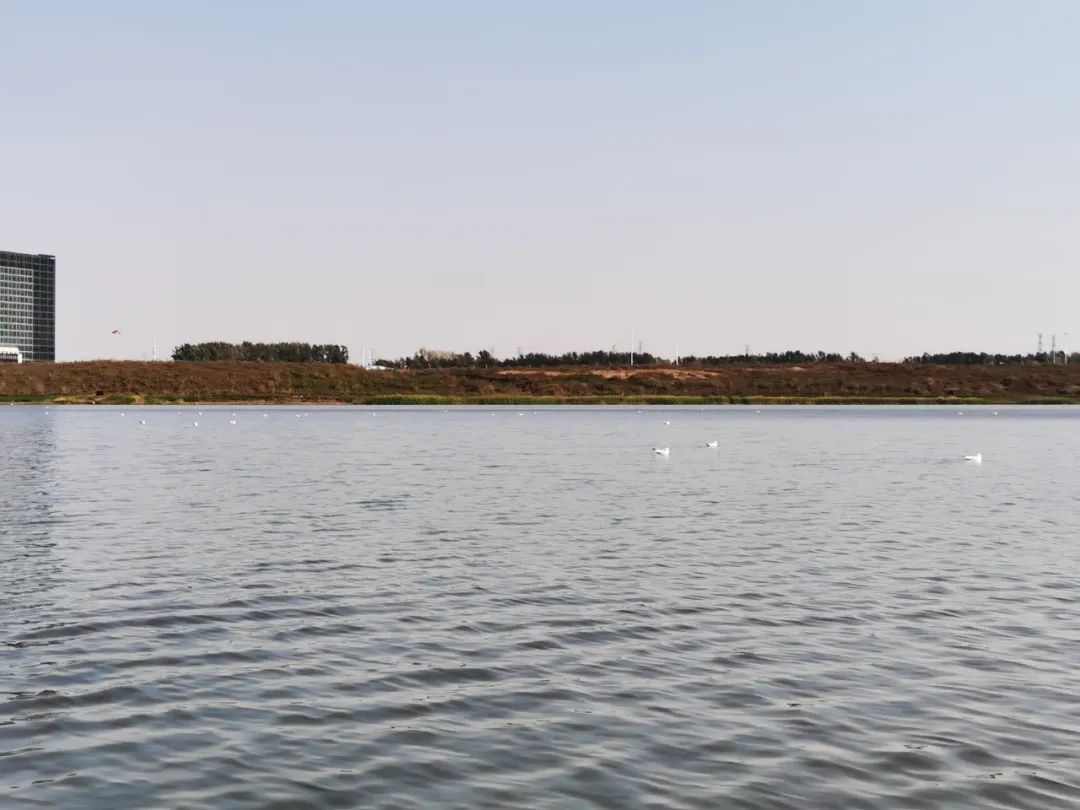 K8·凯发(中国)天生赢家·一触即发